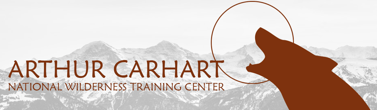 Carhart Banner Logo